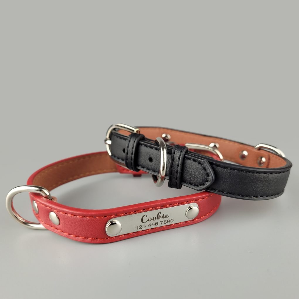 Dog Collar engrave faux leather